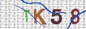 キャプチャ画像