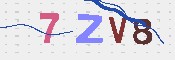 キャプチャ画像