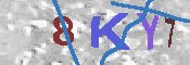 キャプチャ画像
