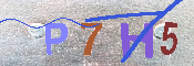 キャプチャ画像