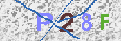 キャプチャ画像