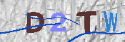 キャプチャ画像