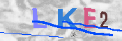 キャプチャ画像
