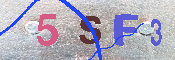 キャプチャ画像