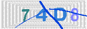 キャプチャ画像