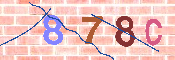 キャプチャ画像