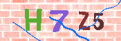 キャプチャ画像