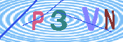 キャプチャ画像