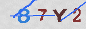 キャプチャ画像