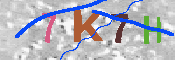 キャプチャ画像