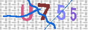 キャプチャ画像