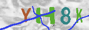キャプチャ画像