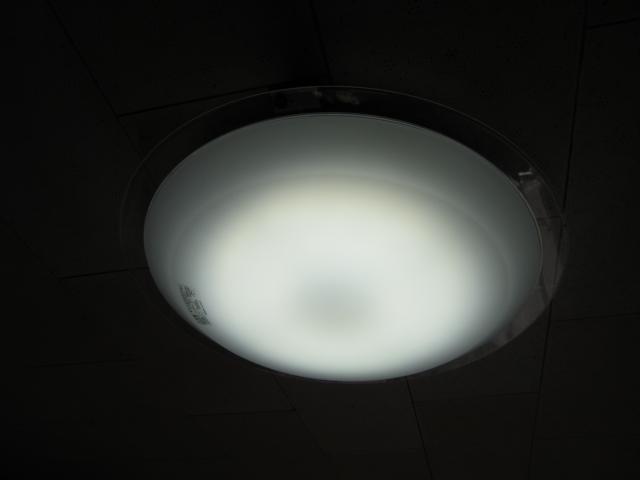 img_1156.JPG