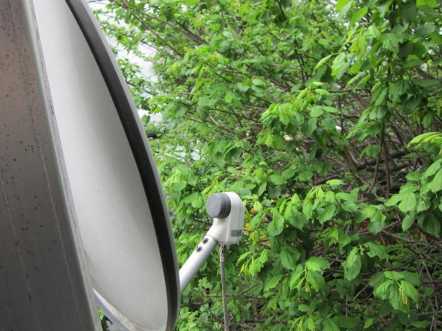 img_1259.JPG