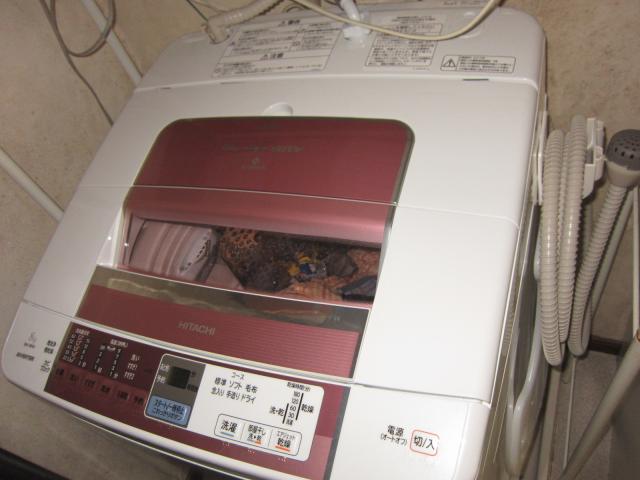 img_1619.JPG