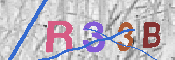 キャプチャ画像
