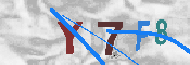 キャプチャ画像