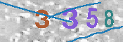キャプチャ画像