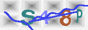キャプチャ画像