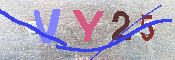 キャプチャ画像