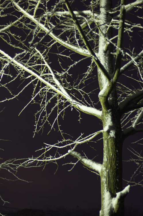 雪の偕楽園・茨城県立歴史館01