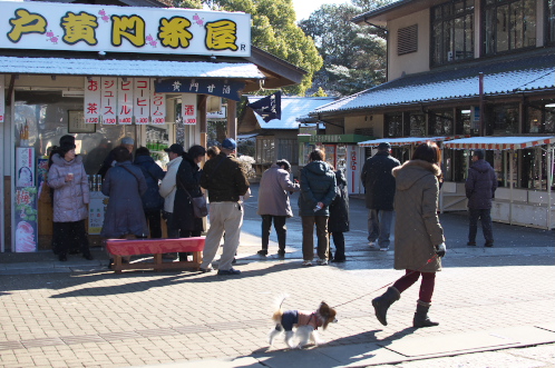 雪の偕楽園・茨城県立歴史館06