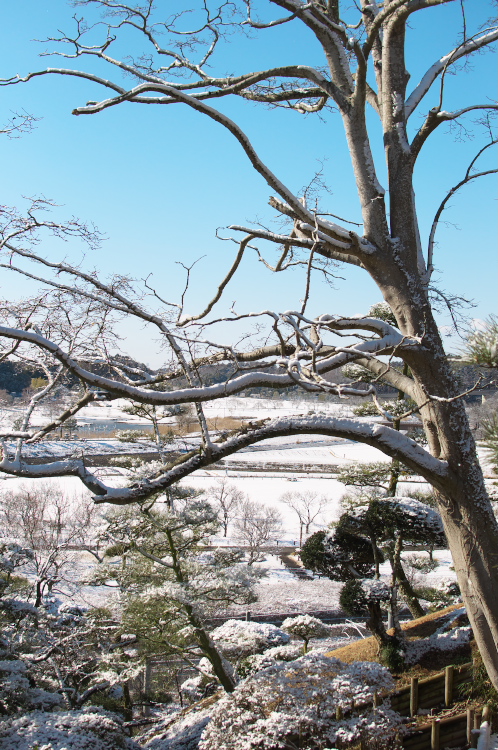 偕楽園展望台から観る水戸の雪景色