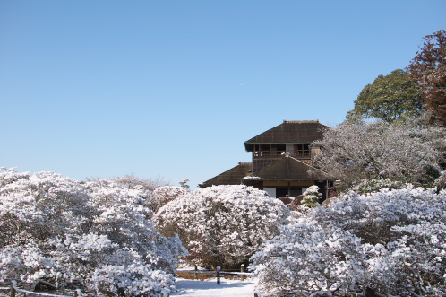 雪の偕楽園・茨城県立歴史館07