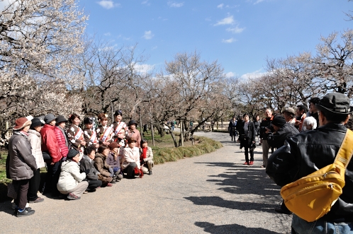 2014年3月2週目の梅06