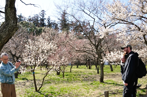 2014年3月2週目の梅05