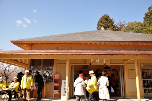 2014年3月2週目の梅08