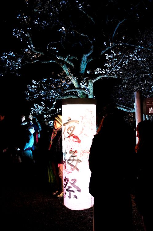 ２０１４年水戸市偕楽園の夜梅祭02