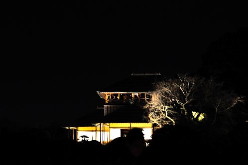 ２０１４年水戸市偕楽園の夜梅祭10