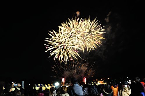 ２０１４年水戸市偕楽園の夜梅祭06