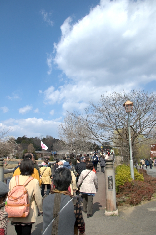 2014年3月下旬の水戸市偕楽園の梅02