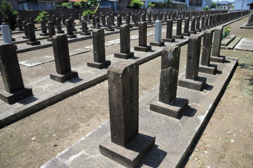 保和苑のあじさい・アジサイ・紫陽花 水戸殉難志士の墓