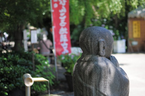保和苑のあじさい・アジサイ・紫陽花　ぴんころ地蔵