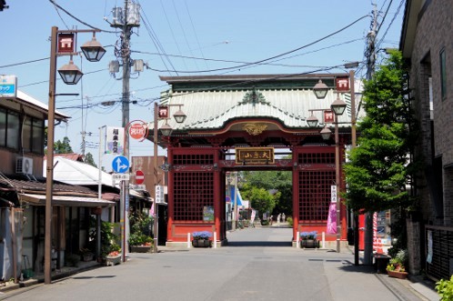 保和苑のあじさい！紫陽花！アジサイ！ - その２_02