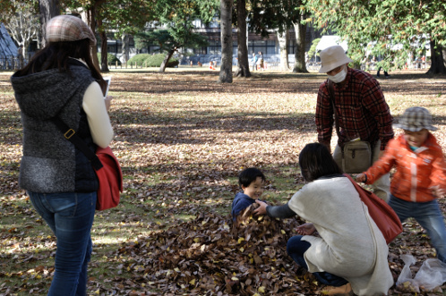 茨城県立歴史館の銀杏04