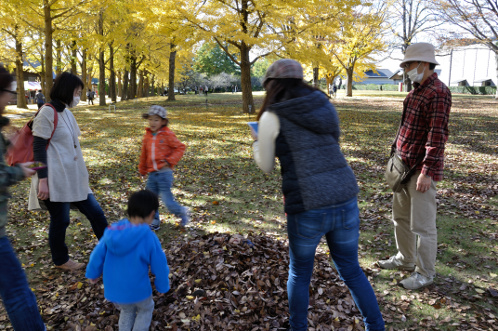 茨城県立歴史館の銀杏05