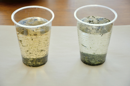 株式会社OSGの電解水素水07