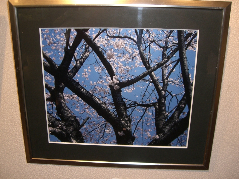 大山静子写真展08