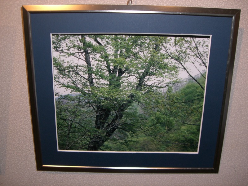 大山静子写真展20