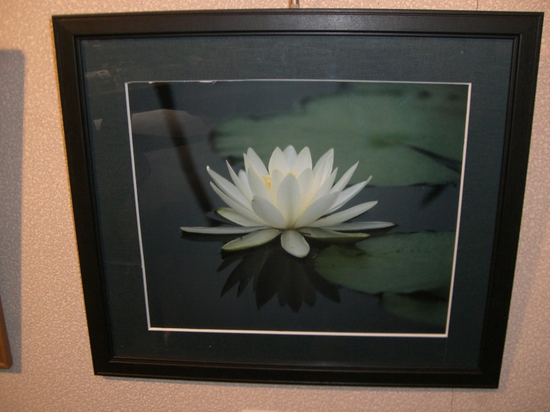 大山静子写真展18