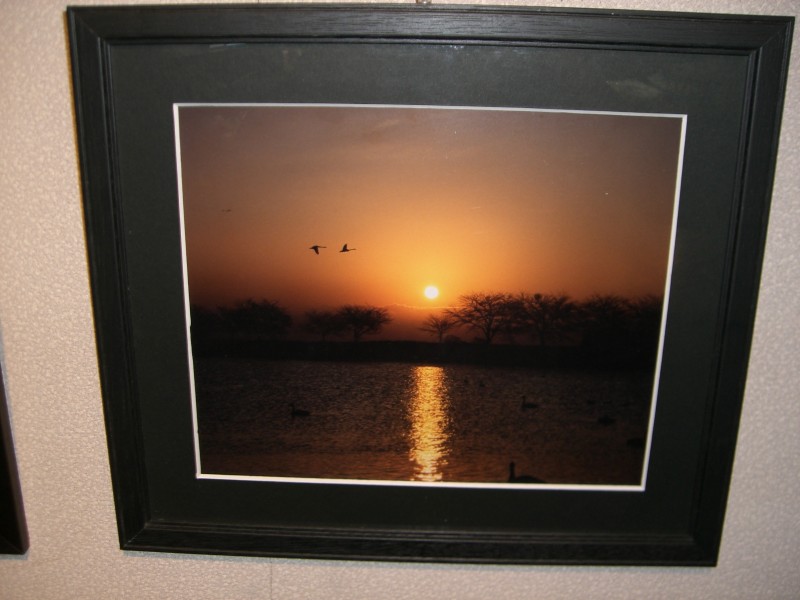 大山静子写真展19