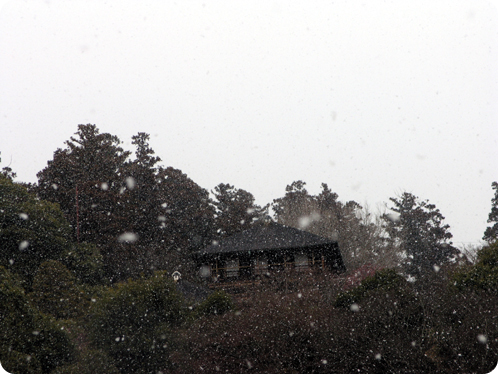 ダイキンオール電化フェア1日目