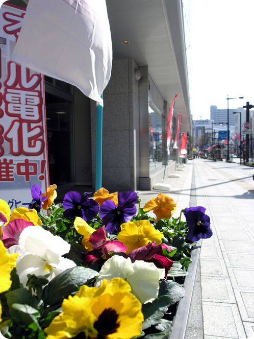 素敵なお花プレゼント