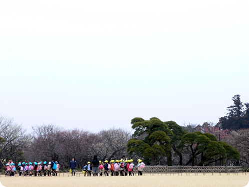 偕楽園で観梅05