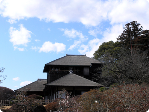 偕楽園の梅2月18日05