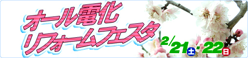 09年2月21・21オール電化リフォームフェスタ